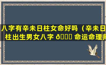 八字有辛未日柱女命好吗（辛未日柱出生男女八字 🐝 命运命理师念鲜）